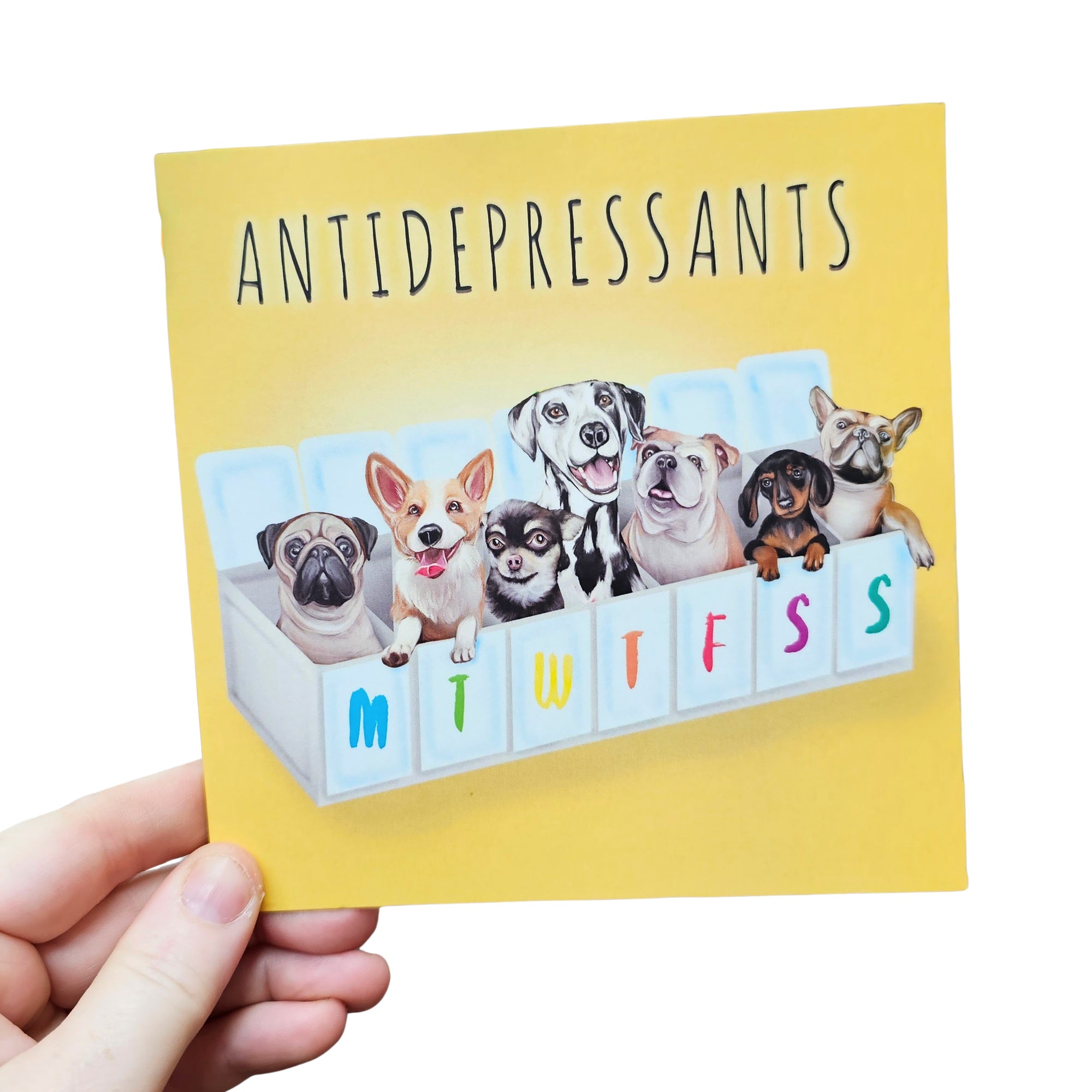 ENCOURAGEMENT LA LA LAND